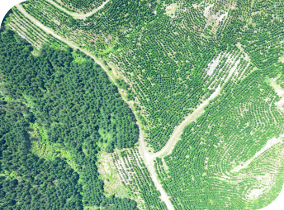 Aerial Surveying02 Aerial Surveying
